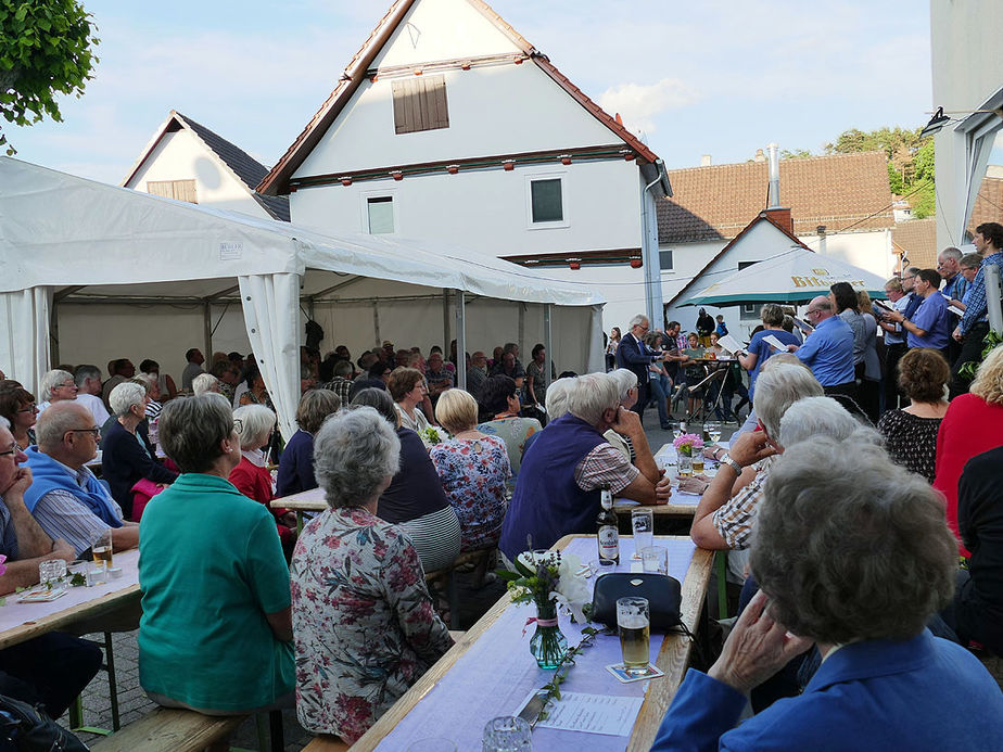 Sommerserenade vor dem "Chorfürst" (Foto: Karl-Franz Thiede)